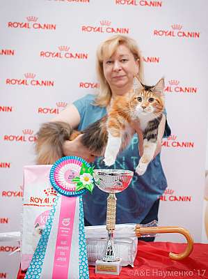 �������� ����� 18-19 �����