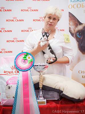 �������� ����� 18-19 �����