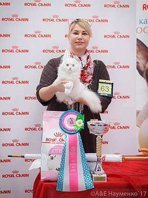 �������� ����� 18-19 �����