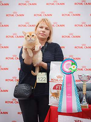 �������� ����� 18-19 �����