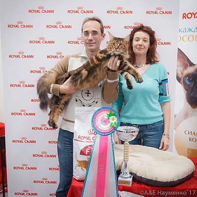 �������� ����� 18-19 �����