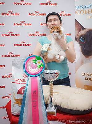 �������� ����� 18-19 �����