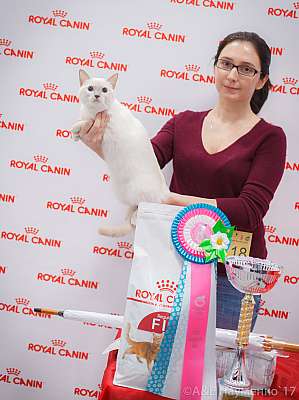 �������� ����� 18-19 �����