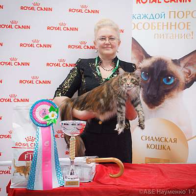 �������� ����� 18-19 �����