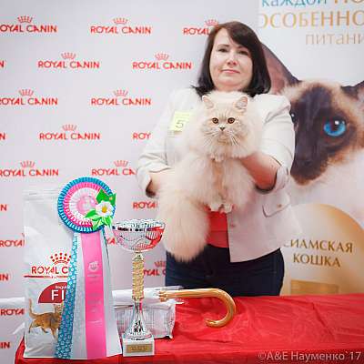 �������� ����� 18-19 �����