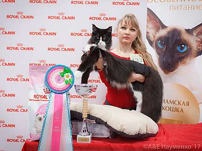 �������� ����� 18-19 �����