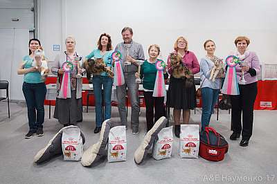 �������� ����� 18-19 �����