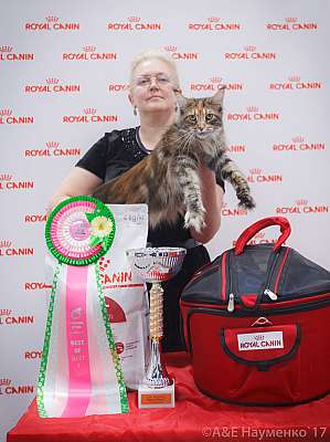 �������� ����� 18-19 �����