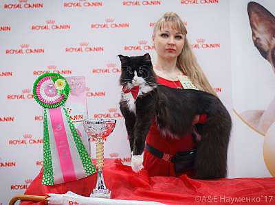 �������� ����� 18-19 �����