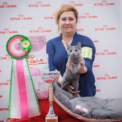 �������� ����� 18-19 �����