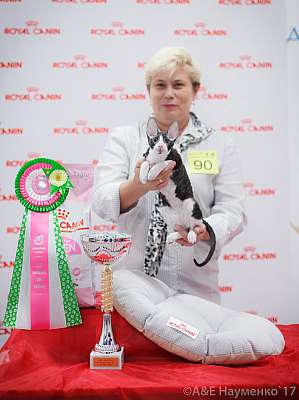 �������� ����� 18-19 �����