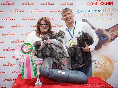 �������� ����� 18-19 �����