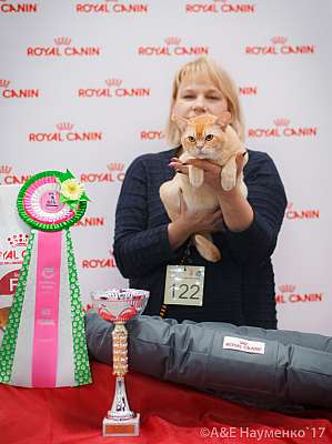 �������� ����� 18-19 �����