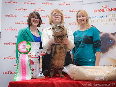 �������� ����� 18-19 �����