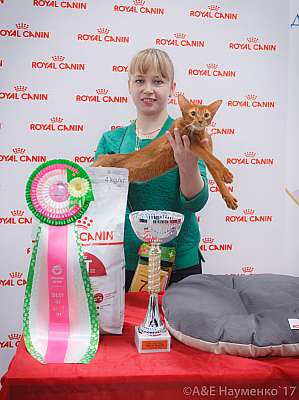 �������� ����� 18-19 �����