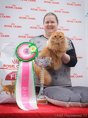 �������� ����� 18-19 �����