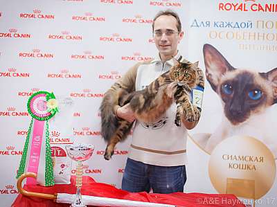 �������� ����� 18-19 �����