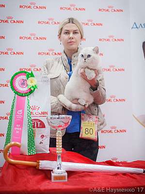 �������� ����� 18-19 �����