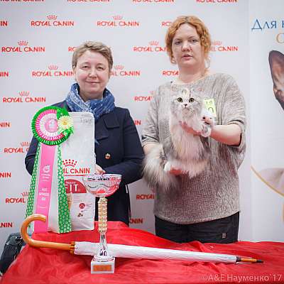 �������� ����� 18-19 �����