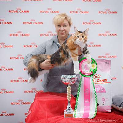 �������� ����� 18-19 �����