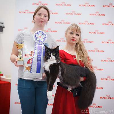 �������� ����� 18-19 �����