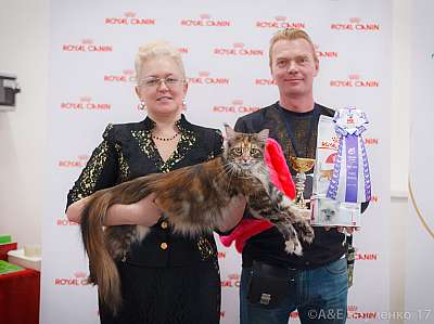 �������� ����� 18-19 �����