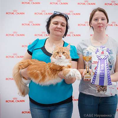 �������� ����� 18-19 �����