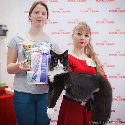 �������� ����� 18-19 �����