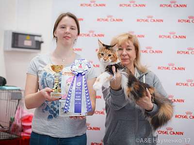 �������� ����� 18-19 �����