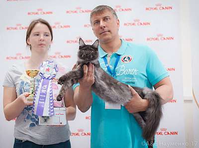 �������� ����� 18-19 �����