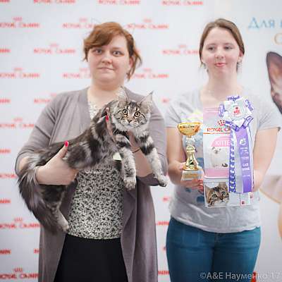 �������� ����� 18-19 �����