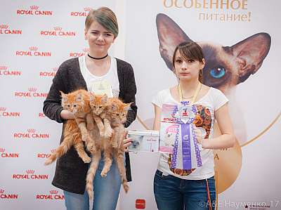 �������� ����� 18-19 �����