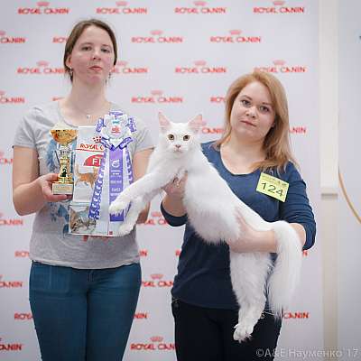 �������� ����� 18-19 �����