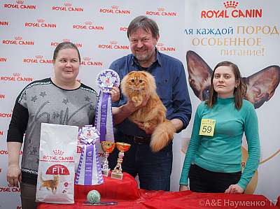 �������� ����� 18-19 �����