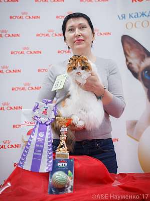 �������� ����� 18-19 �����