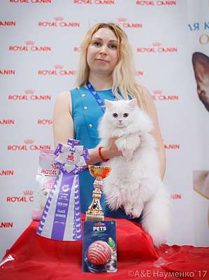 �������� ����� 18-19 �����