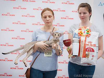 �������� ����� 18-19 �����