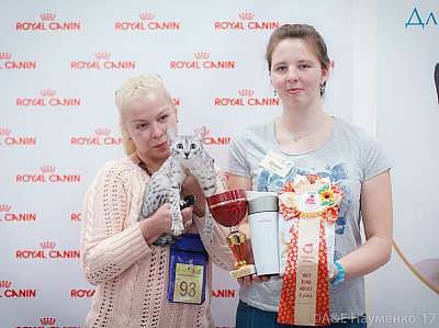 �������� ����� 18-19 �����