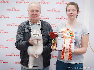 �������� ����� 18-19 �����