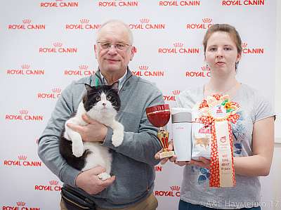 �������� ����� 18-19 �����