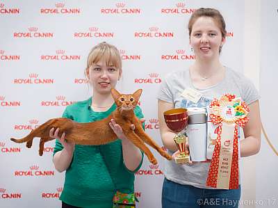 �������� ����� 18-19 �����