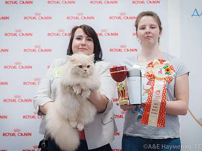 �������� ����� 18-19 �����