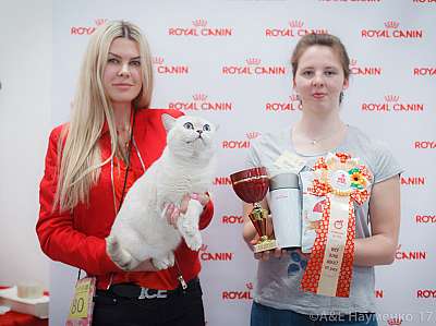 �������� ����� 18-19 �����