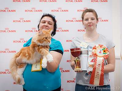 �������� ����� 18-19 �����