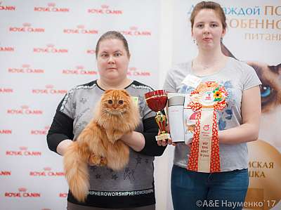 �������� ����� 18-19 �����