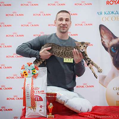 �������� ����� 18-19 �����