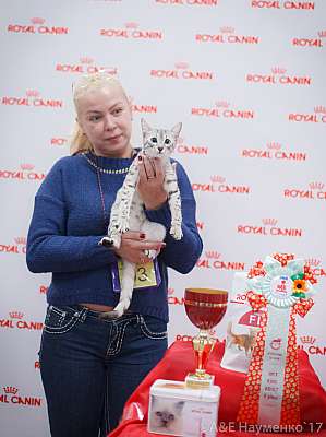 �������� ����� 18-19 �����