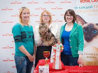 �������� ����� 18-19 �����