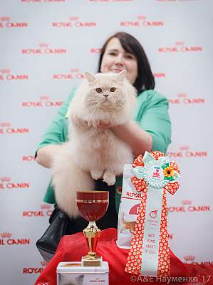 �������� ����� 18-19 �����