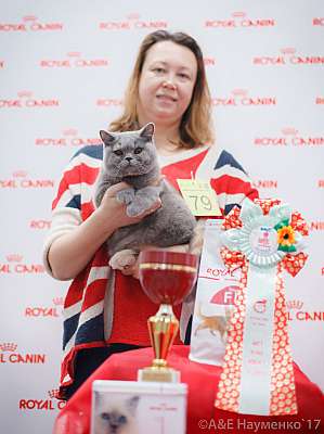 �������� ����� 18-19 �����